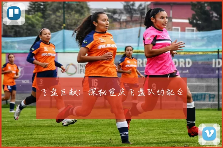 飞盘巨献：探秘重庆飞盘队的配合