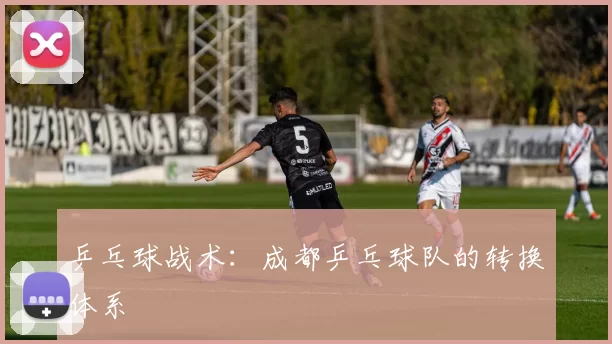 乒乓球战术：成都乒乓球队的转换体系