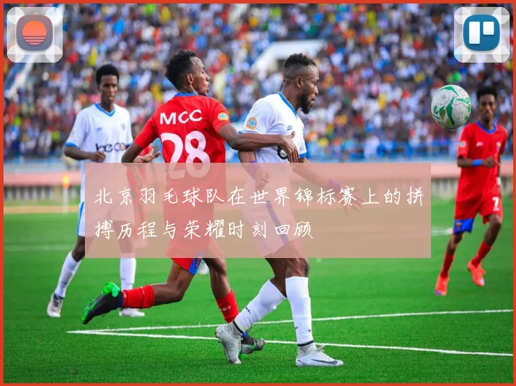 北京羽毛球队在世界锦标赛上的拼搏历程与荣耀时刻回顾