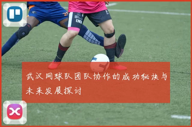 武汉网球队团队协作的成功秘诀与未来发展探讨